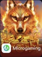 Microgaming Slots